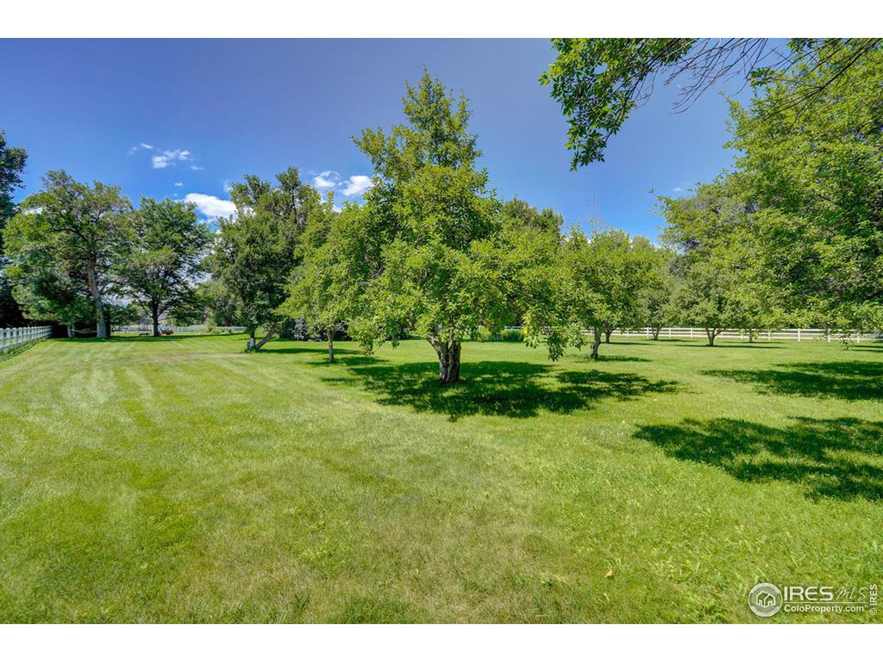 8582 Yellowstone Road Longmont, CO 80503 - Photo 18 of 39 Gallery Image 18