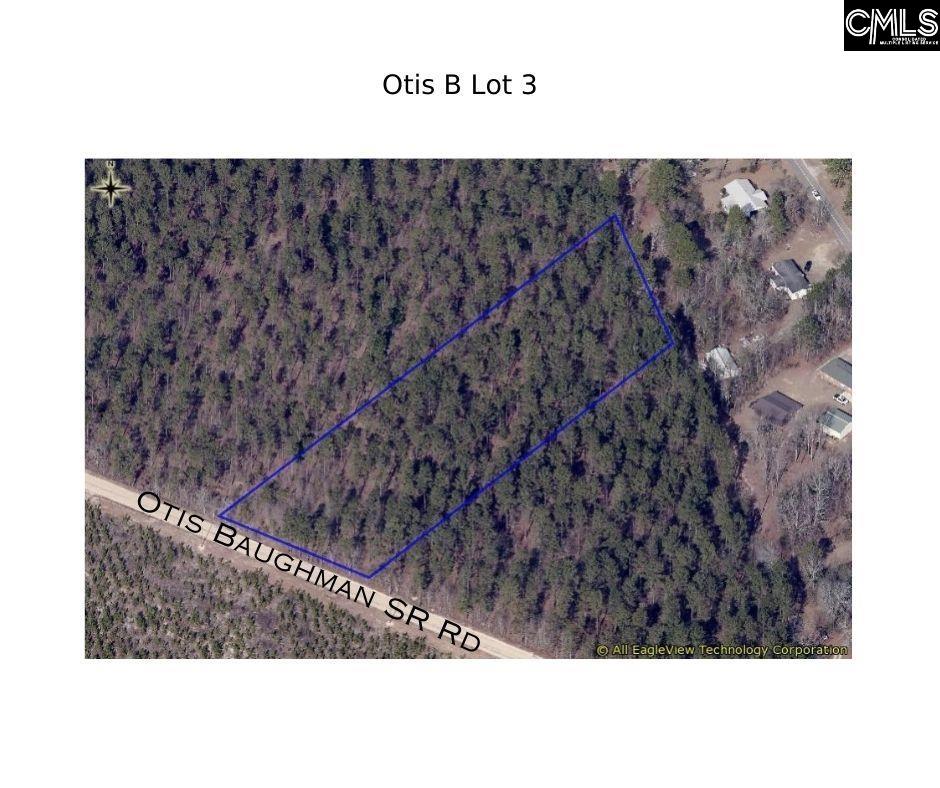 3 Otis Baughman Sr Road Wagener, SC 29164 - Photo 2 of 2