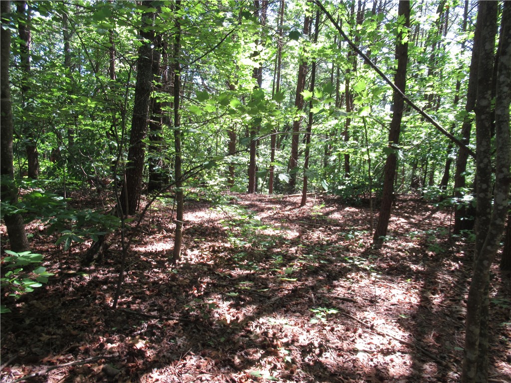 221 River Bluff Road Cleveland, SC 29635 - Photo 1 of 29