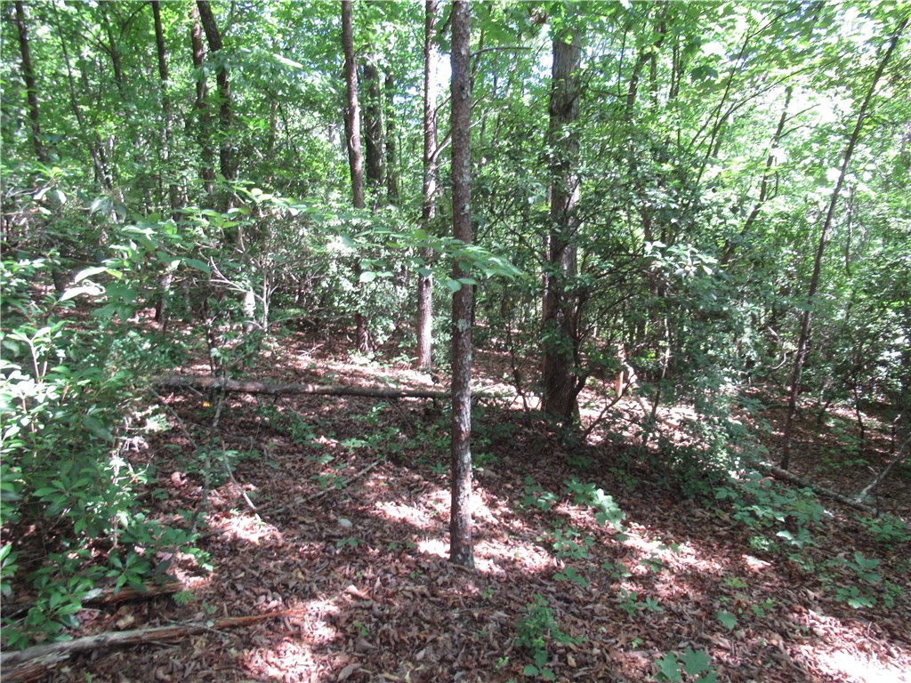 221 River Bluff Road Cleveland, SC 29635 - Photo 12 of 29