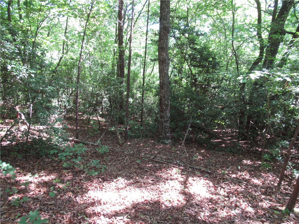 221 River Bluff Road Cleveland, SC 29635 - Photo 13 of 29