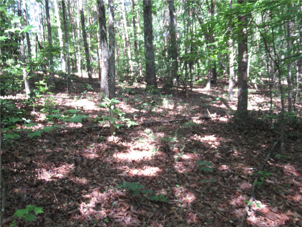 221 River Bluff Road Cleveland, SC 29635 - Photo 14 of 29