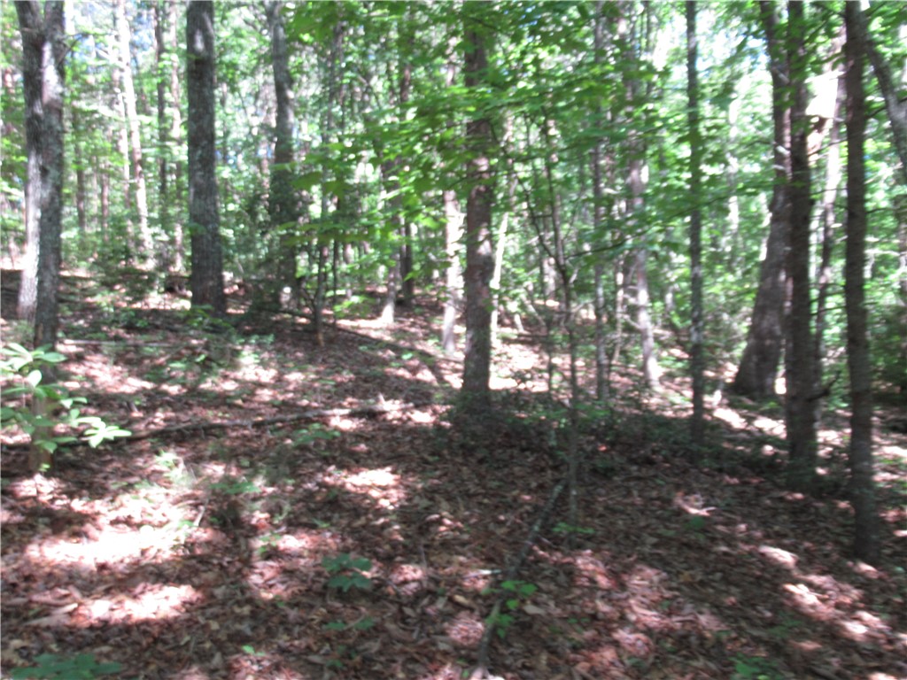 221 River Bluff Road Cleveland, SC 29635 - Photo 15 of 29