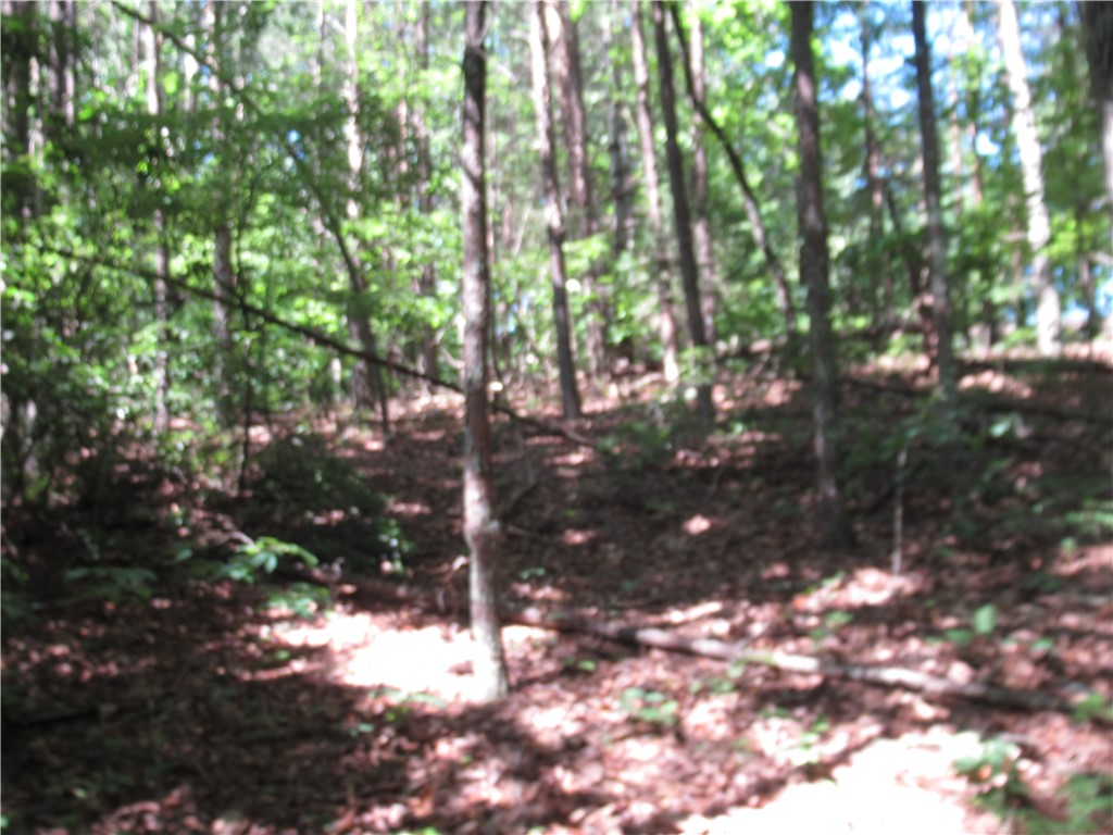 221 River Bluff Road Cleveland, SC 29635 - Photo 17 of 29