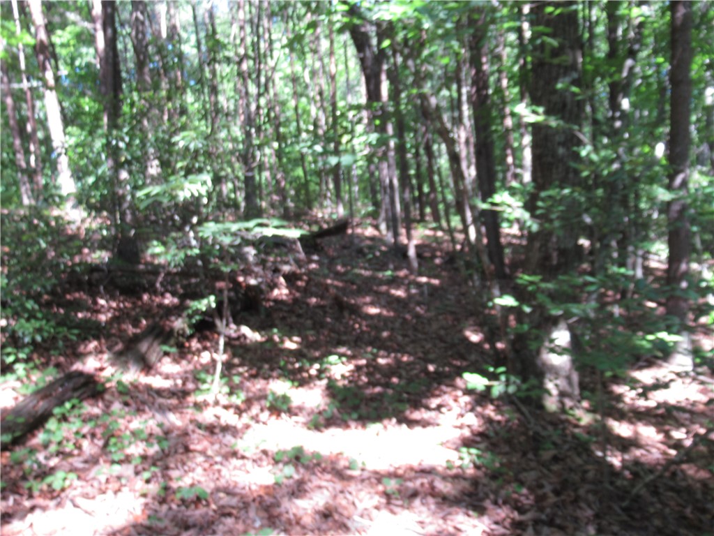 221 River Bluff Road Cleveland, SC 29635 - Photo 18 of 29