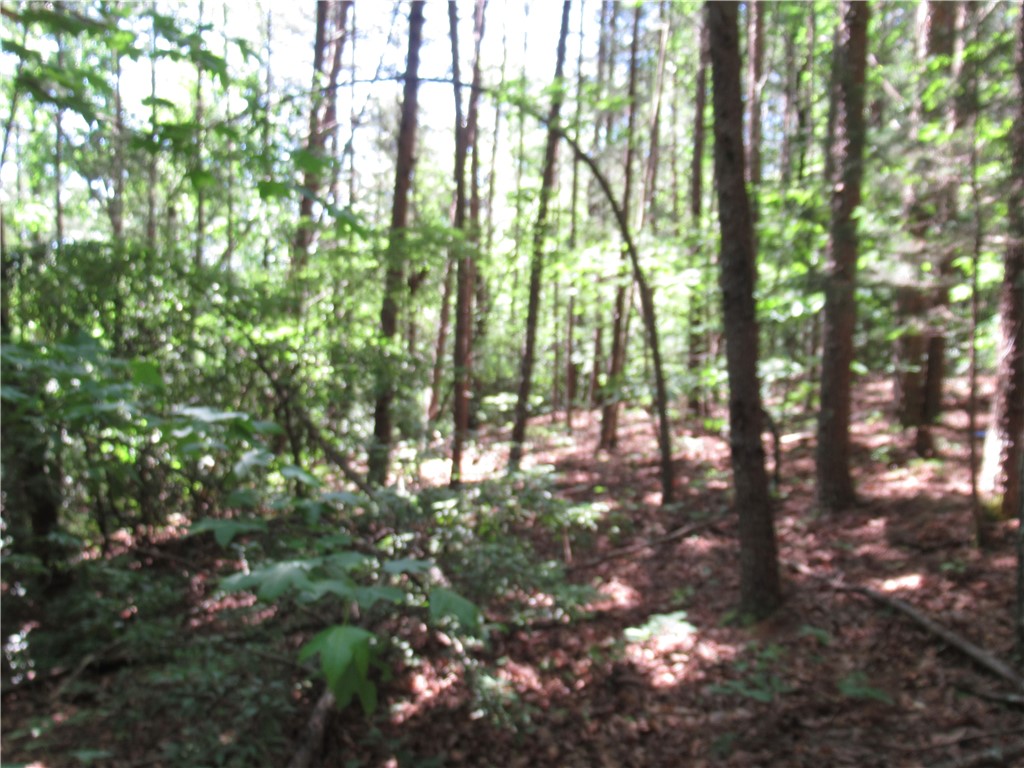 221 River Bluff Road Cleveland, SC 29635 - Photo 20 of 29