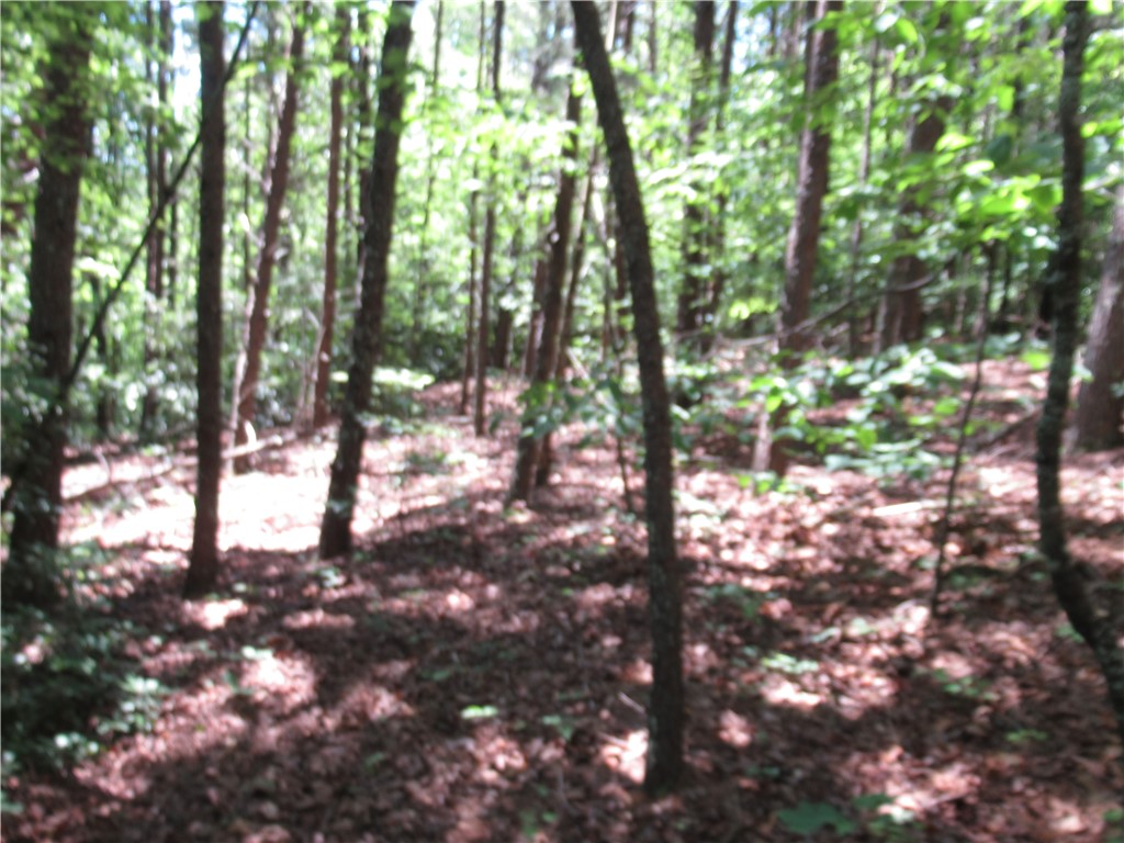 221 River Bluff Road Cleveland, SC 29635 - Photo 21 of 29