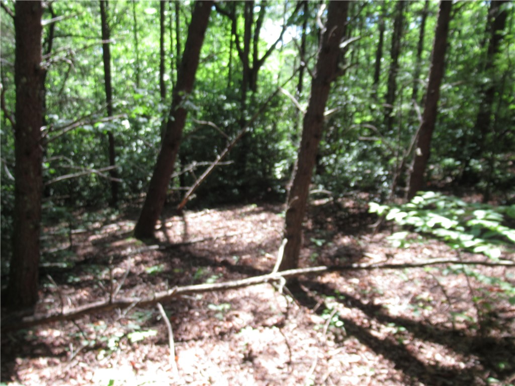 221 River Bluff Road Cleveland, SC 29635 - Photo 22 of 29