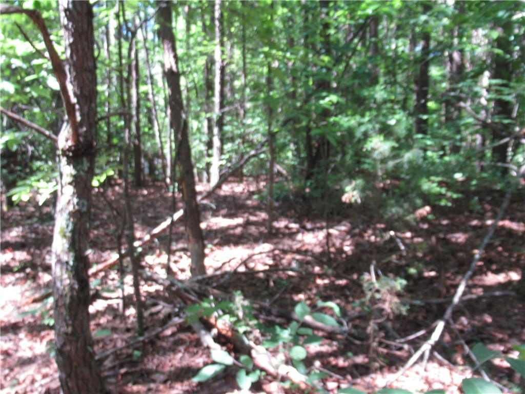 221 River Bluff Road Cleveland, SC 29635 - Photo 24 of 29