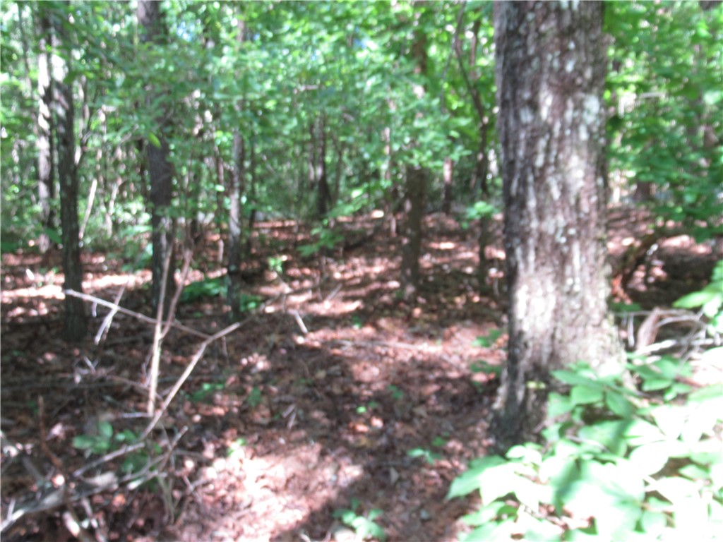 221 River Bluff Road Cleveland, SC 29635 - Photo 26 of 29