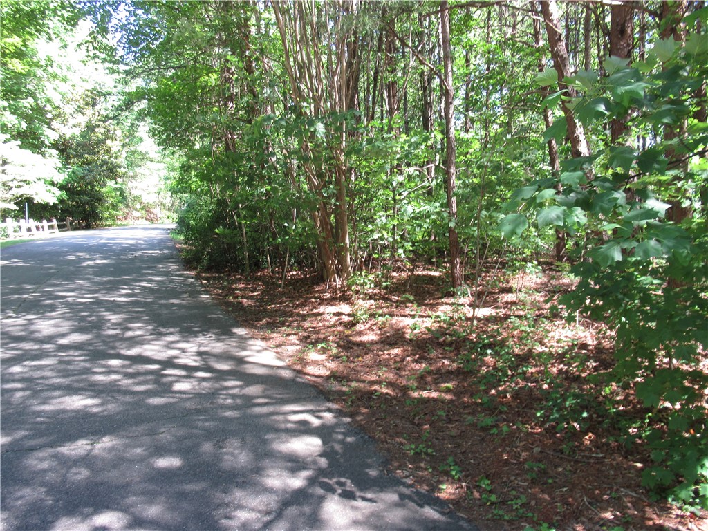 221 River Bluff Road Cleveland, SC 29635 - Photo 28 of 29