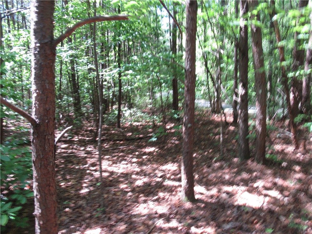 221 River Bluff Road Cleveland, SC 29635 - Photo 6 of 29