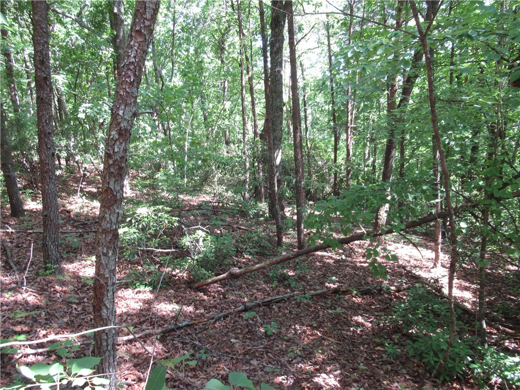 221 River Bluff Road Cleveland, SC 29635 - Photo 8 of 29