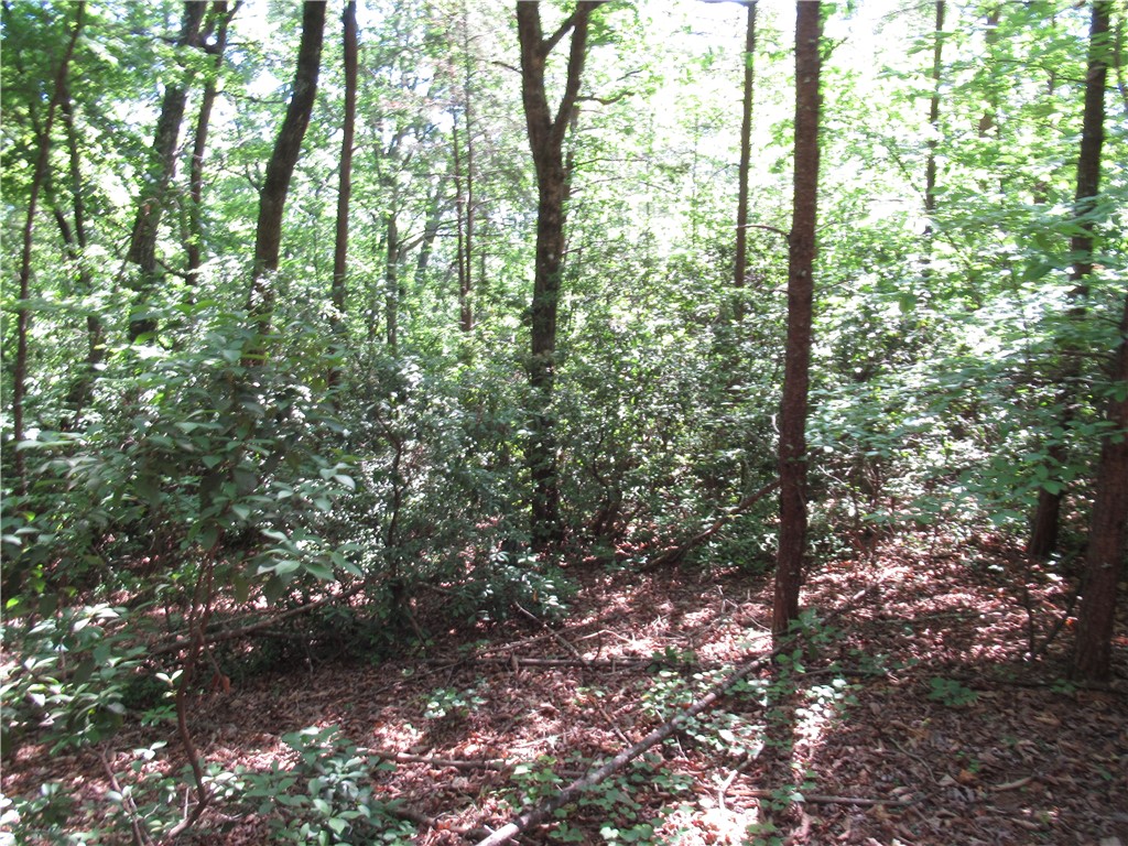 221 River Bluff Road Cleveland, SC 29635 - Photo 10 of 29