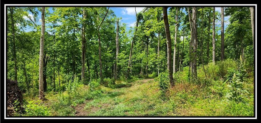 0 Featherstone Road Stewart, OH 45778 - Photo 22 of 72 image023