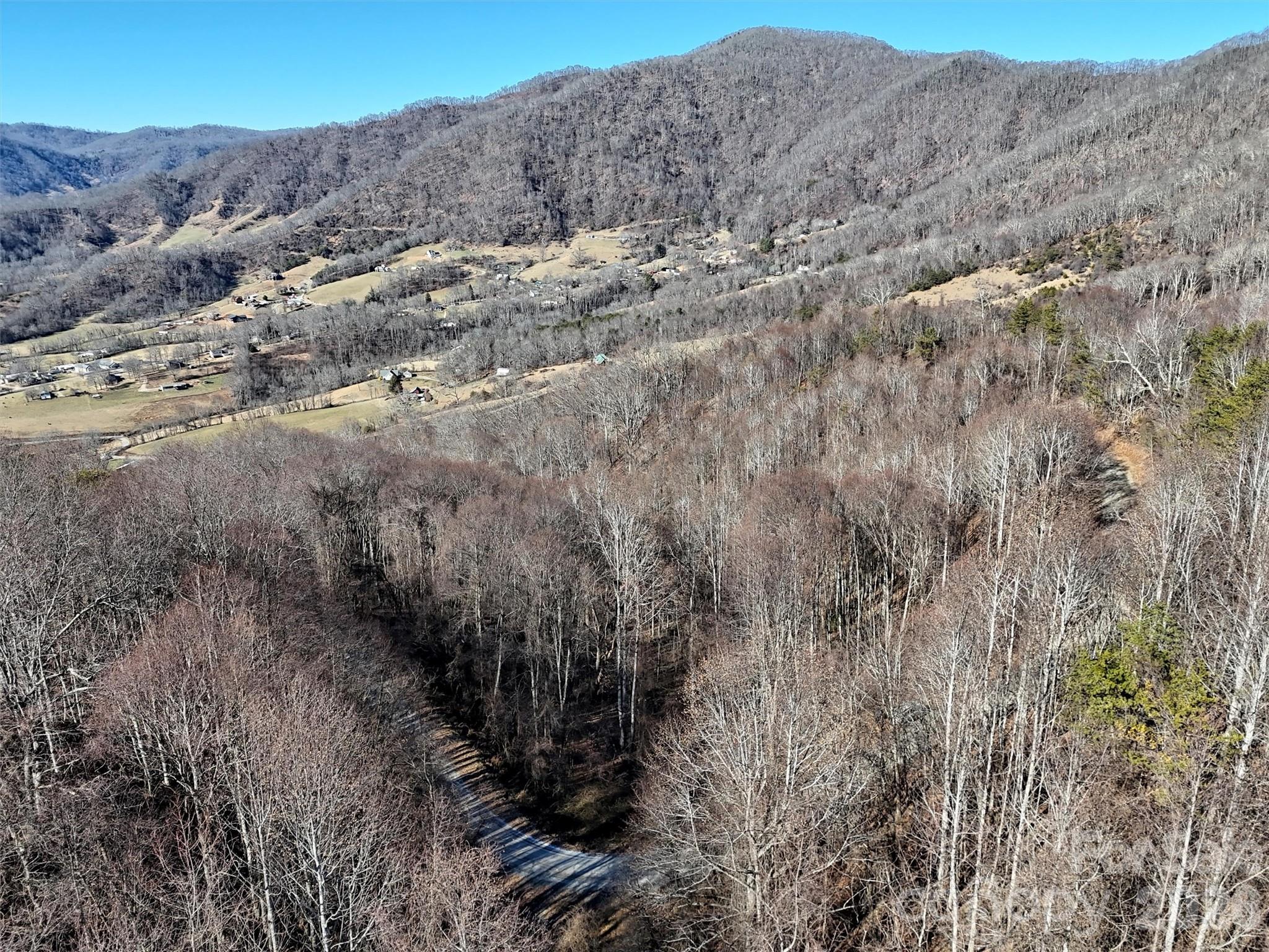0 Hunters Ridge Road, Unit 62 63 64 Canton, NC 28716 - Photo 11 of 13 a view of a dry forest with trees in the background