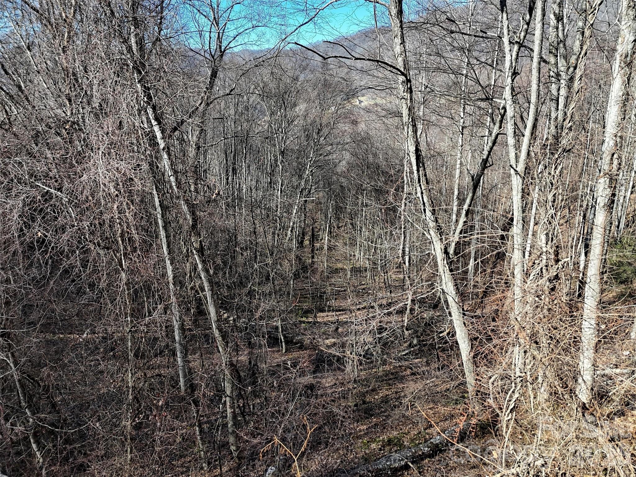 0 Hunters Ridge Road, Unit 62 63 64 Canton, NC 28716 - Photo 12 of 13 a view of a yard