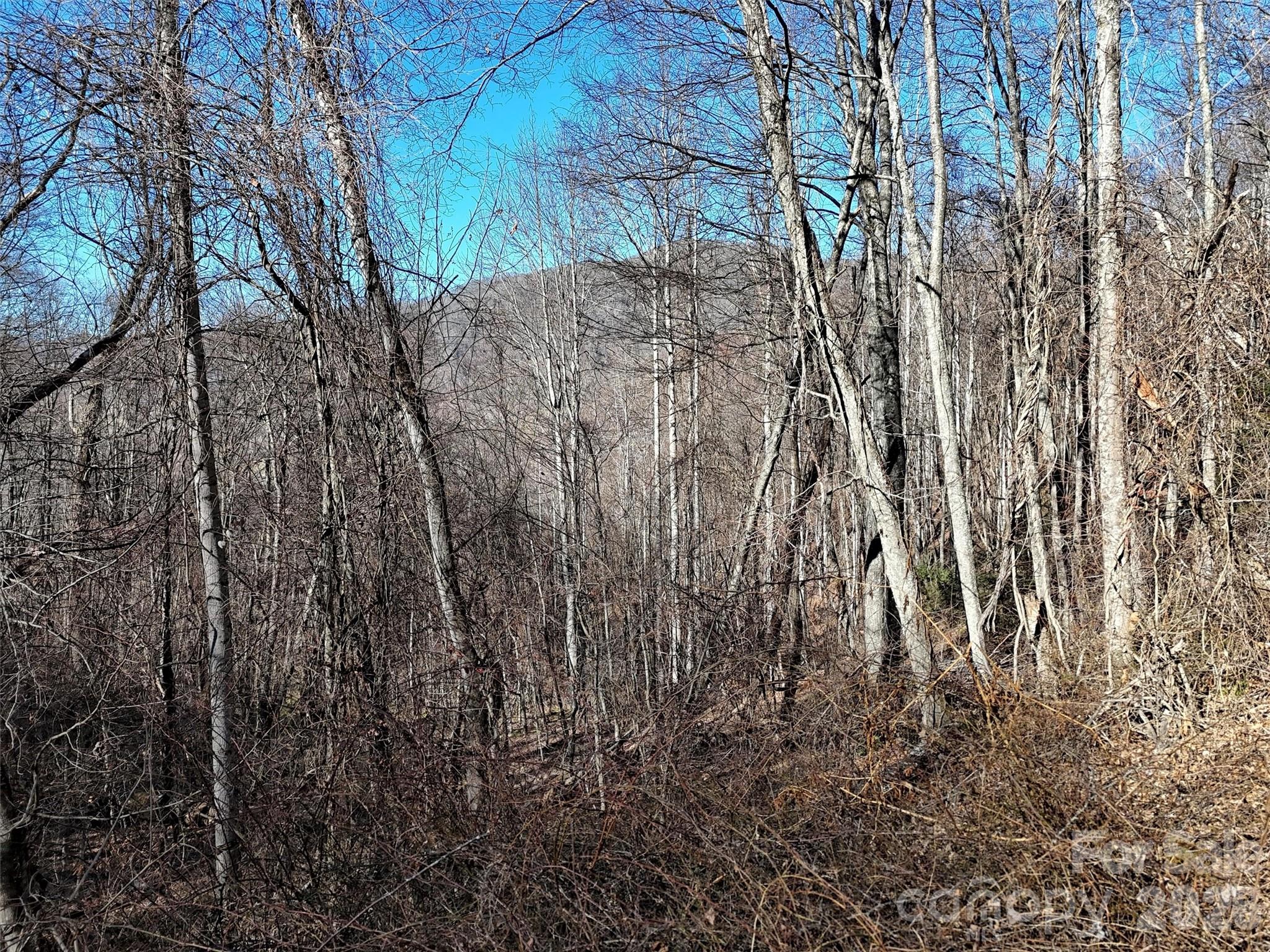 0 Hunters Ridge Road, Unit 62 63 64 Canton, NC 28716 - Photo 13 of 13 a view of backyard of a house