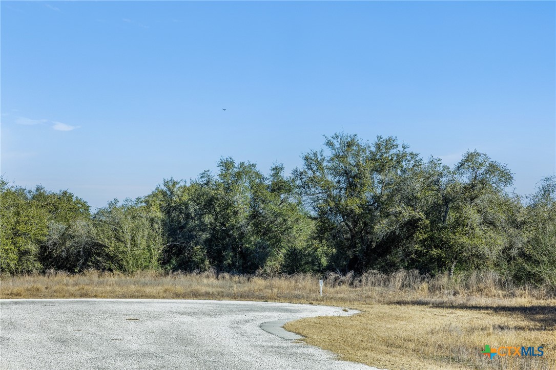 0 Sophie Ranch Road Inez, TX 77968 - Photo 1 of 18