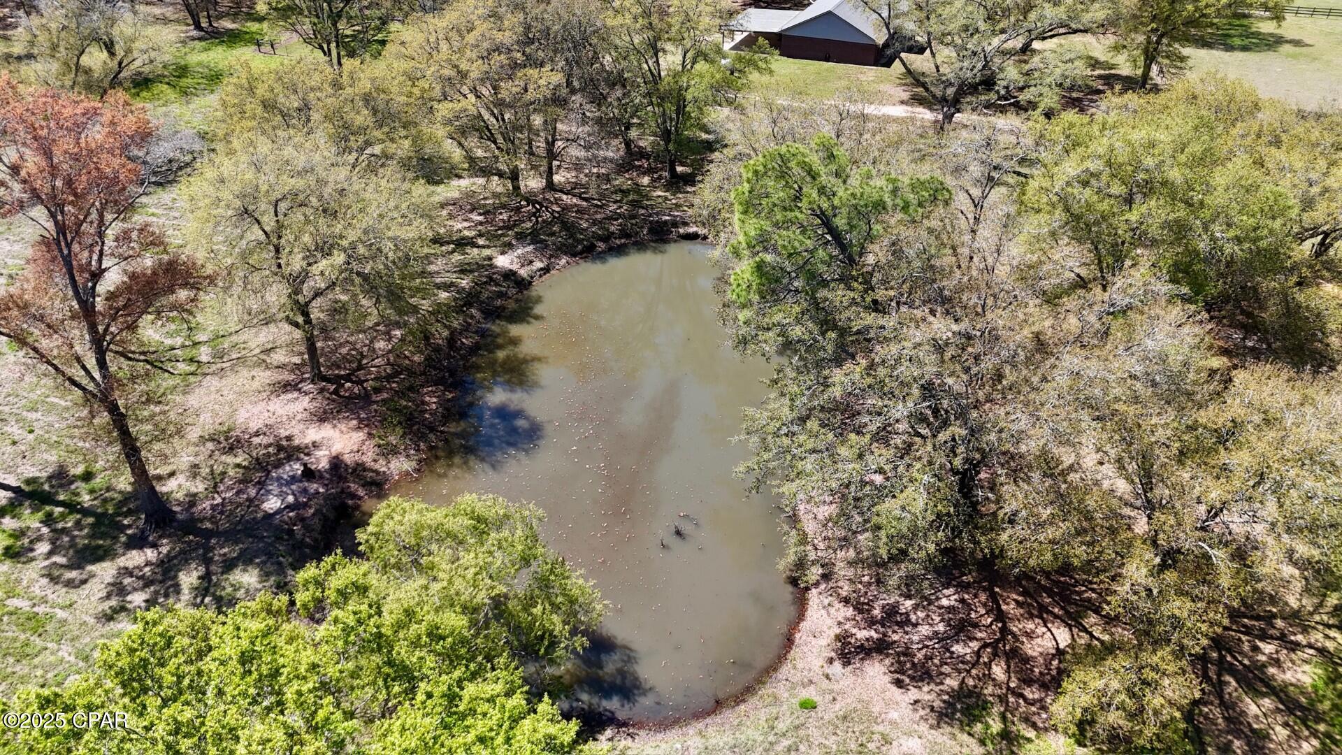 1793 Bentley Road Cottondale, FL 32431 - Photo 37 of 38