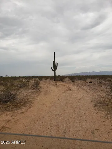 a view of a lake with a mountain in the background