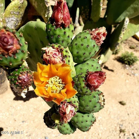 $399,000 | 00 North 217th Avenue, Wittmann, AZ 85361