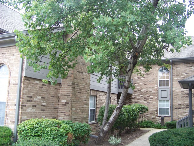 23 Foxcroft Road, Unit 207 Naperville, IL 60565 - Photo 1 of 13