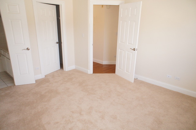 23 Foxcroft Road, Unit 207 Naperville, IL 60565 - Photo 9 of 13