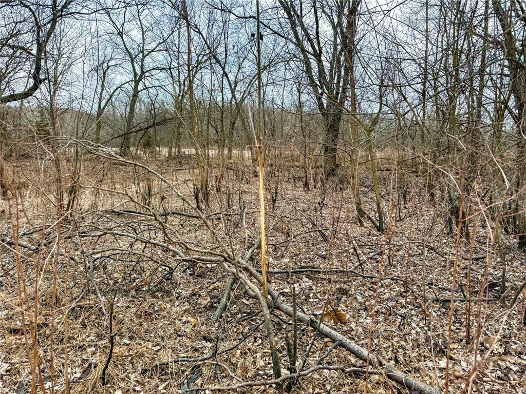 Wp001 Gilsen Creek Road Onaga, KS 66521 - Photo 13 of 27