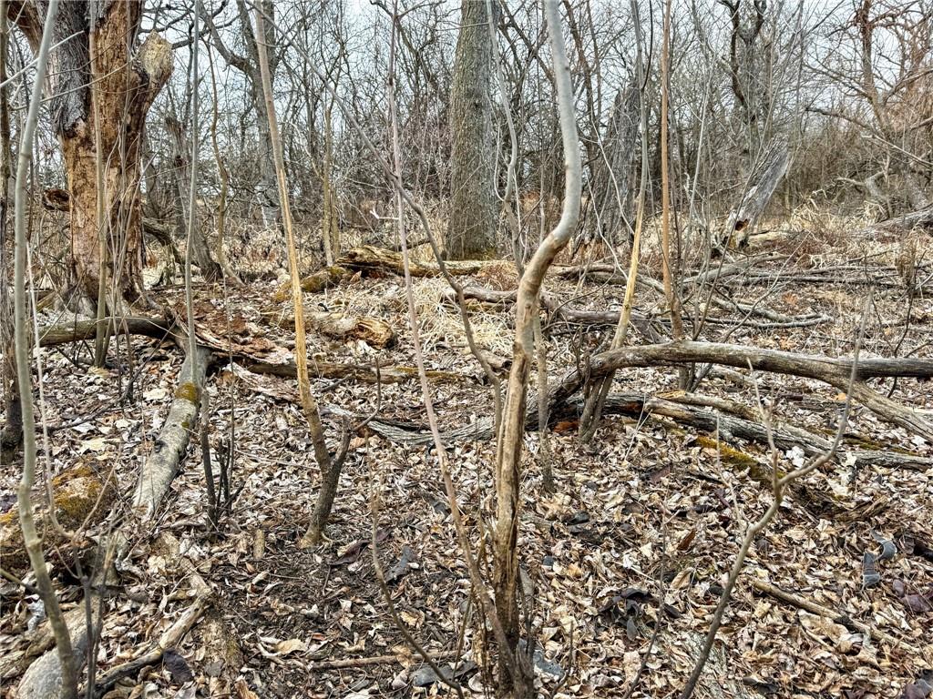 Wp001 Gilsen Creek Road Onaga, KS 66521 - Photo 14 of 27