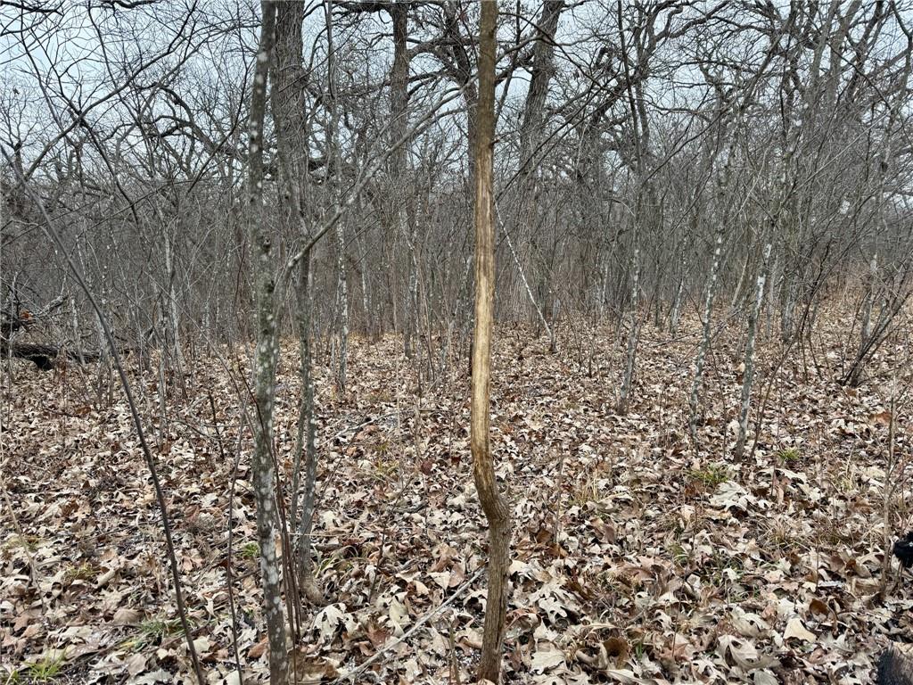 Wp001 Gilsen Creek Road Onaga, KS 66521 - Photo 17 of 27