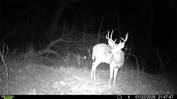 $825,000 | Wp001 Gilsen Creek Road, Onaga, KS 66521