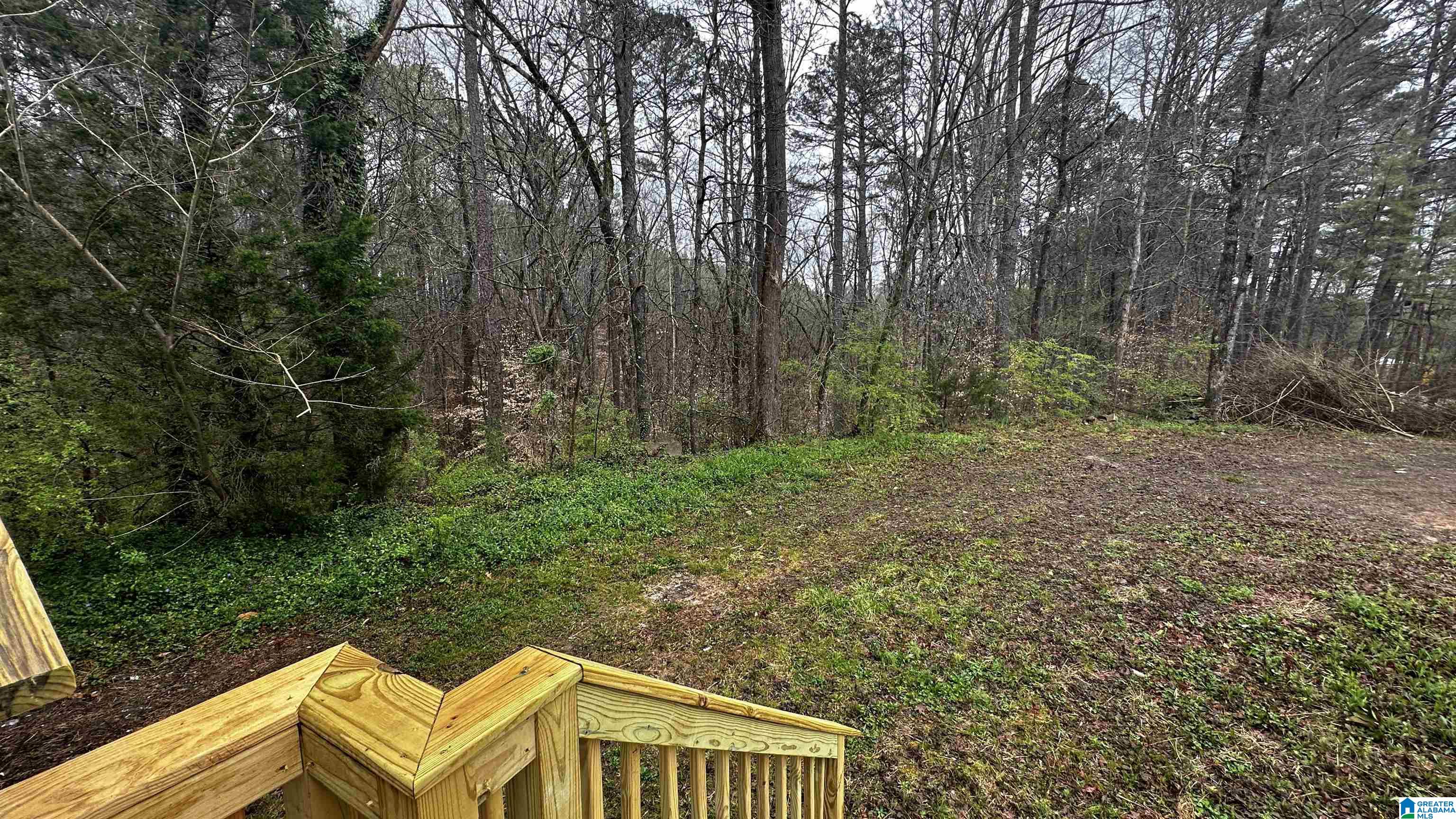 2030 Warrior Trafford Road Warrior, AL 35180 - Photo 22 of 23