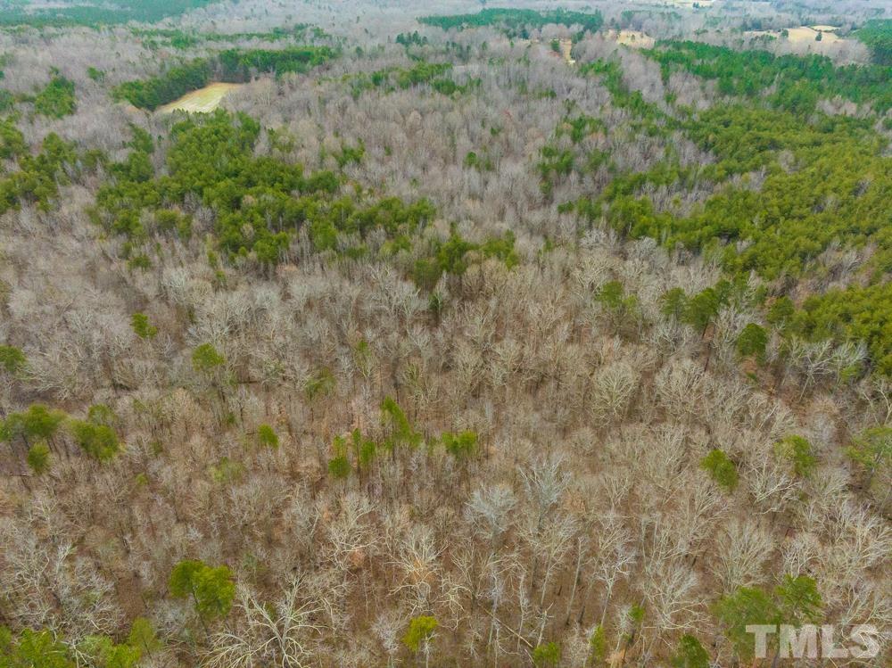 0 Bowmantown Road, Unit TRACT A Roxboro, NC 27574 - Photo 13 of 50 a view of a forest with a tree