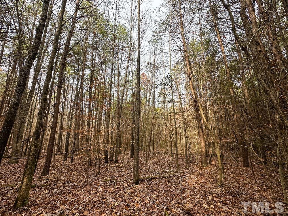 0 Bowmantown Road, Unit TRACT A Roxboro, NC 27574 - Photo 29 of 50