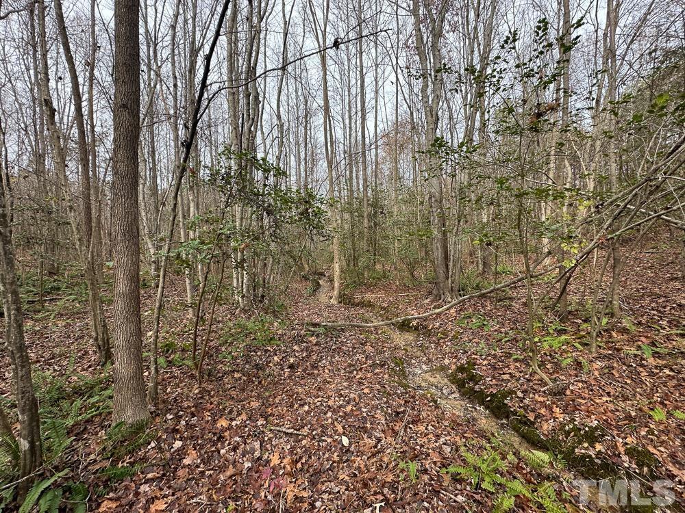 0 Bowmantown Road, Unit TRACT A Roxboro, NC 27574 - Photo 35 of 50 a view of a yard with large trees