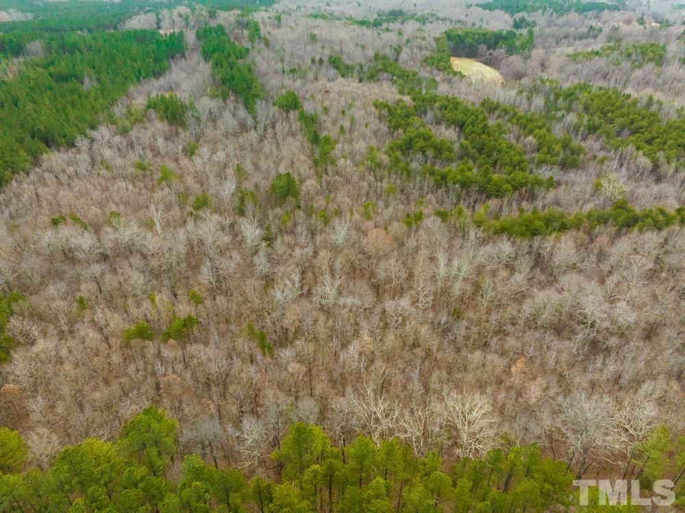 0 Bowmantown Road, Unit TRACT A Roxboro, NC 27574 - Photo 36 of 50 a view of a dry yard with green space