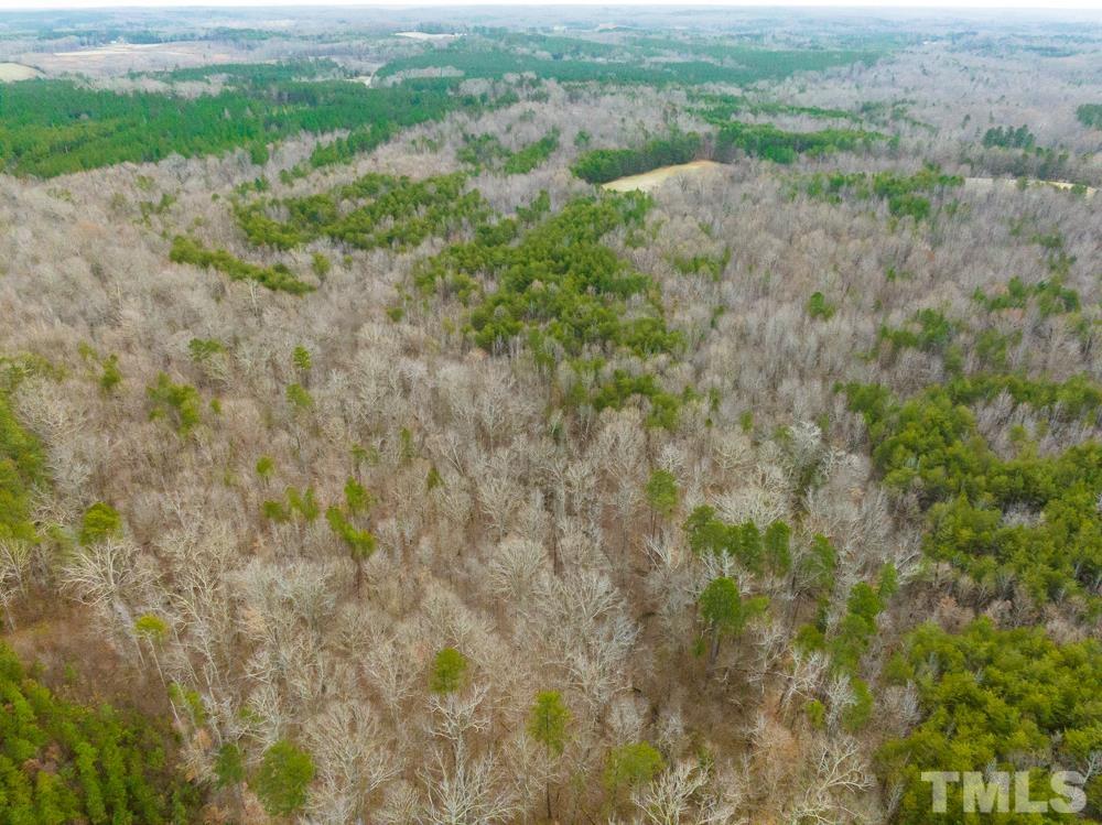 0 Bowmantown Road, Unit TRACT A Roxboro, NC 27574 - Photo 40 of 50 a view of a field with plants and trees