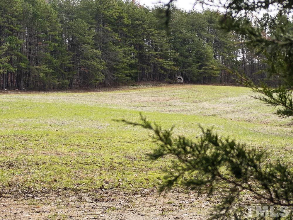 0 Bowmantown Road, Unit TRACT A Roxboro, NC 27574 - Photo 47 of 50 a view of a lake view