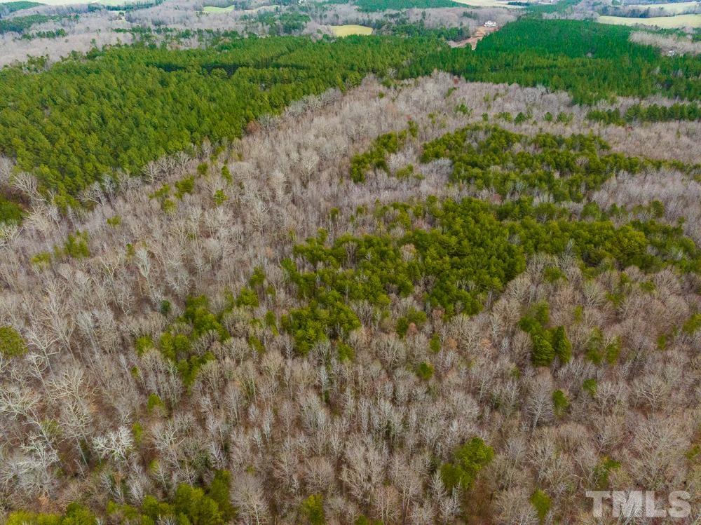 0 Bowmantown Road, Unit TRACT A Roxboro, NC 27574 - Photo 48 of 50 a view of a lush green forest with lots of trees