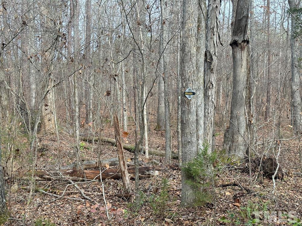 0 Bowmantown Road, Unit TRACT A Roxboro, NC 27574 - Photo 7 of 50 a view of a pathway with a yard