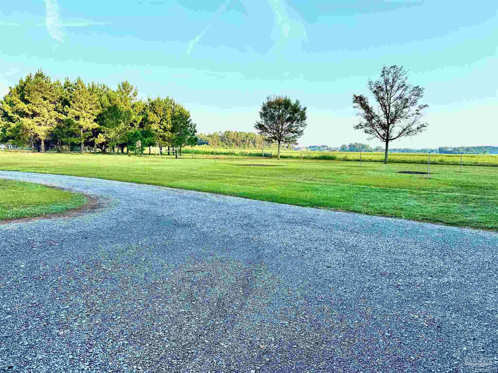 1770 Annie Penton Road Jay, FL 32565 - Photo 7 of 35 a view of a golf course