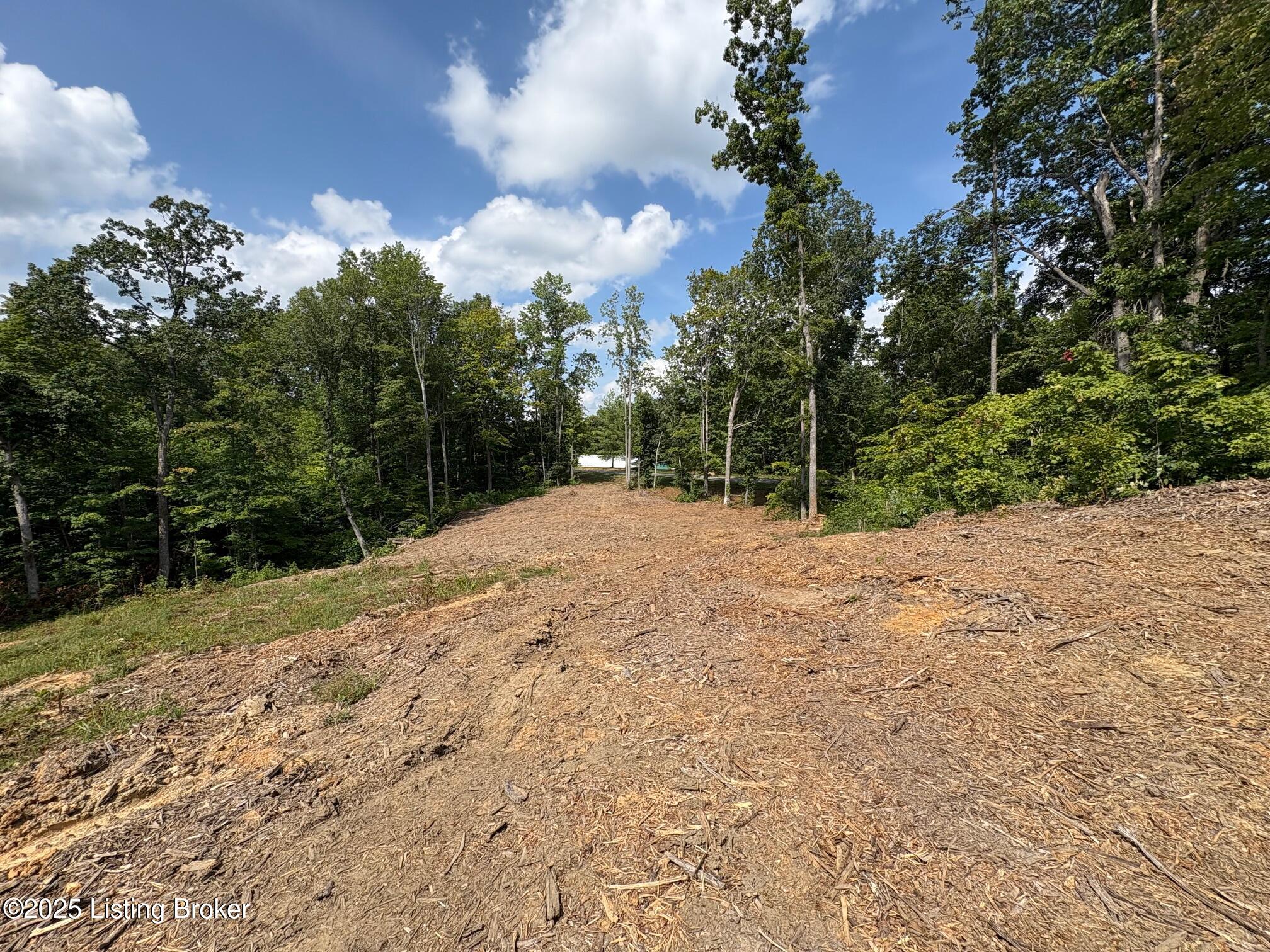 0 Wooldridge Ferry Road Elizabethtown, KY 42701 - Photo 8 of 9 IMG_4001