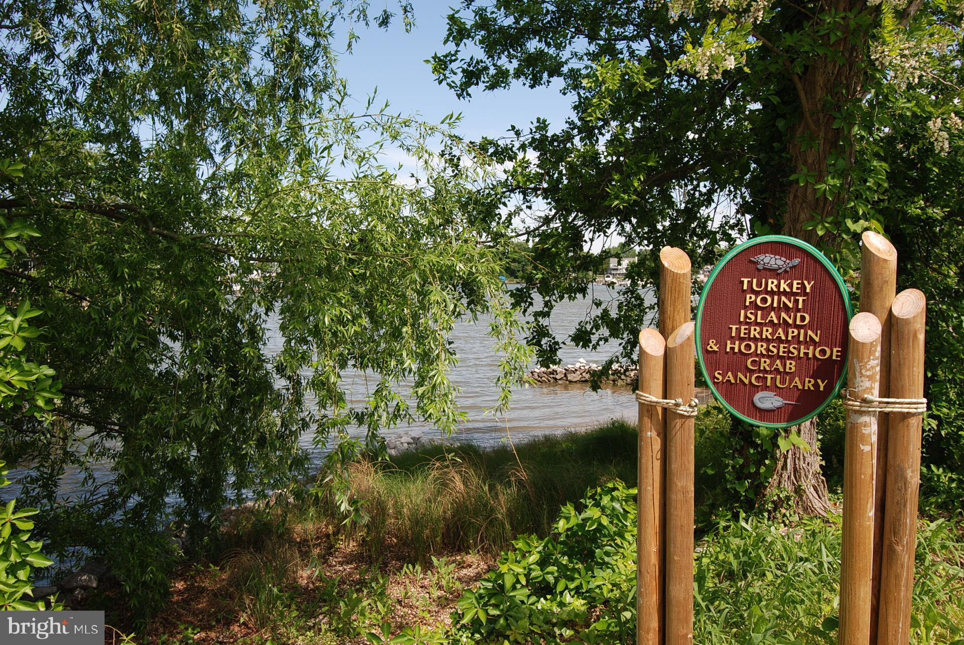 3714 Bay Drive Edgewater, MD 21037 - Photo 38 of 57 Community