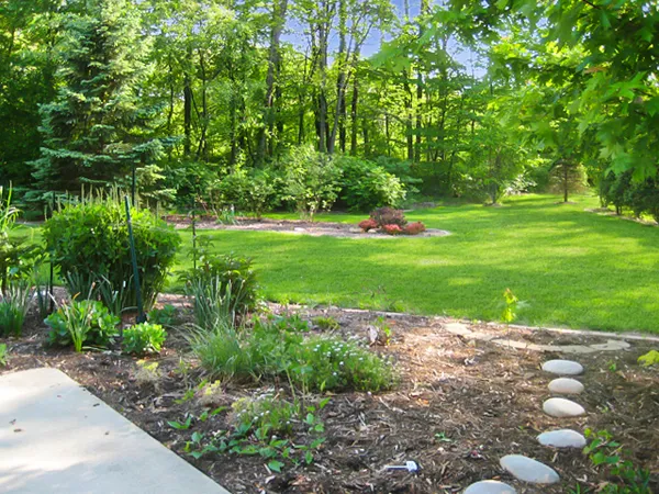 a view of a backyard with plants and trees