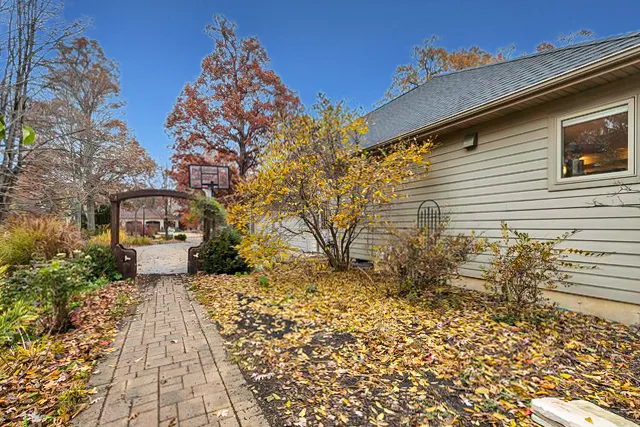 a garden with trees in front of it