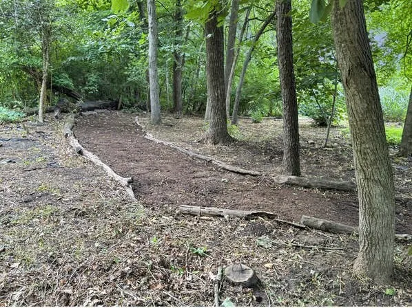 a view of a backyard of the house