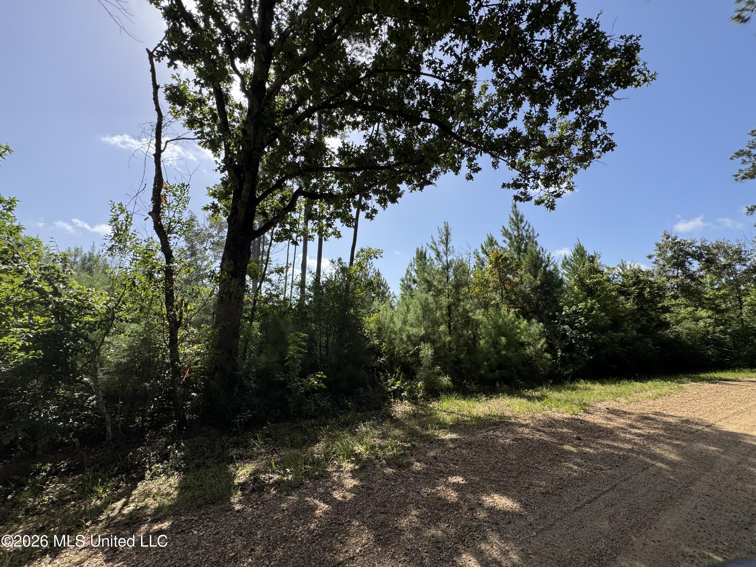 32 A Sauls Road Ruth, MS 39662 - Photo 9 of 22 Land-for-sale-Ruth-MS (8)