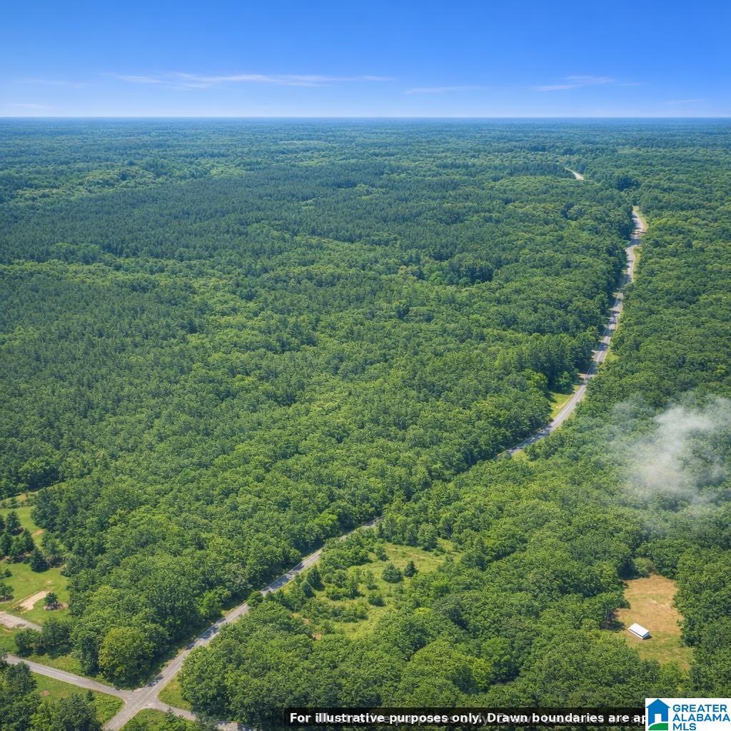 0 Bluff Springs Road, Unit X Ashland, AL 36251 - Photo 4 of 9