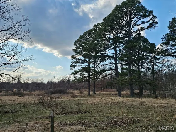 $129,000 | 31947 N Highway 60, Ellsinore, MO 63937